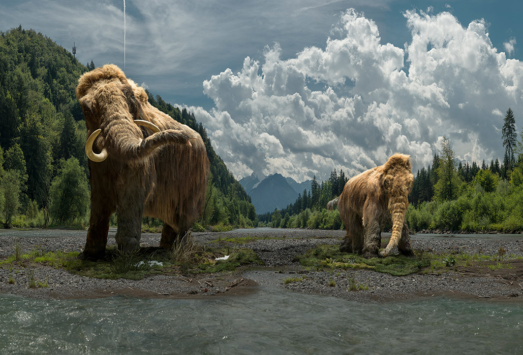 nature - by Oliver Lieber