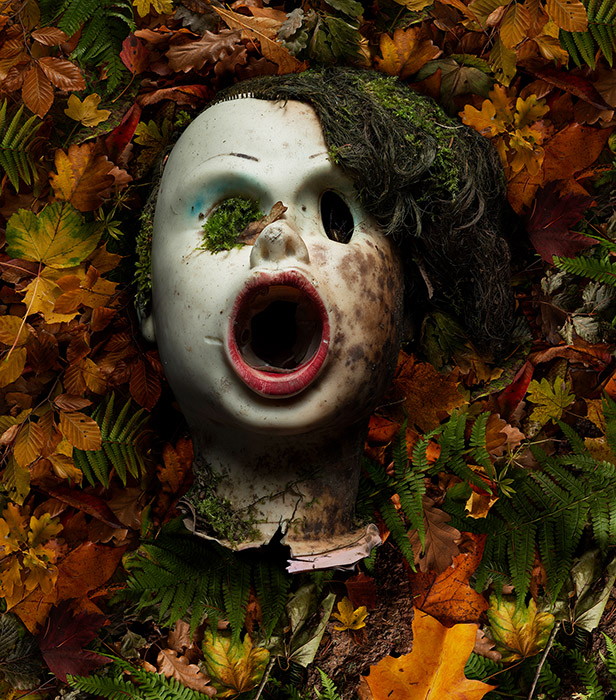 Somos Derechos Y Humanos